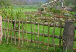 Zaun aus Naturholz