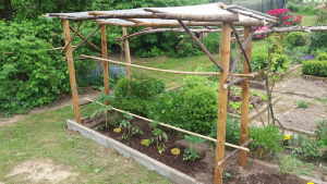 Dach für Tomaten bauen