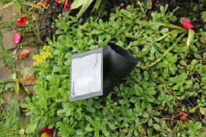 Neues von derSelbermacher.de