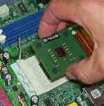 Prozessor / CPU in das Mainboard einbauen.