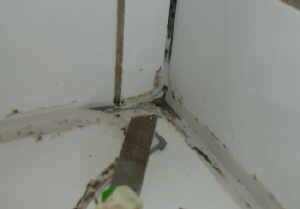 Silikonfuge erneuern