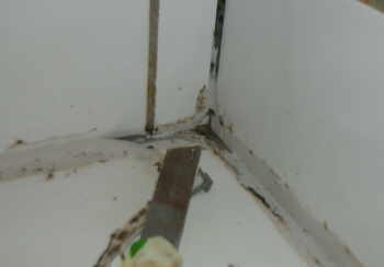 Silikon in der Dusche entfernen