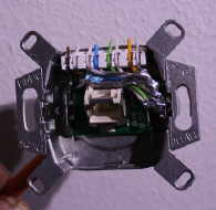 Netzwerkdose Netzwerkdose