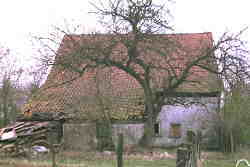 Das alte Fachwerkhaus. Ansicht von Westen.